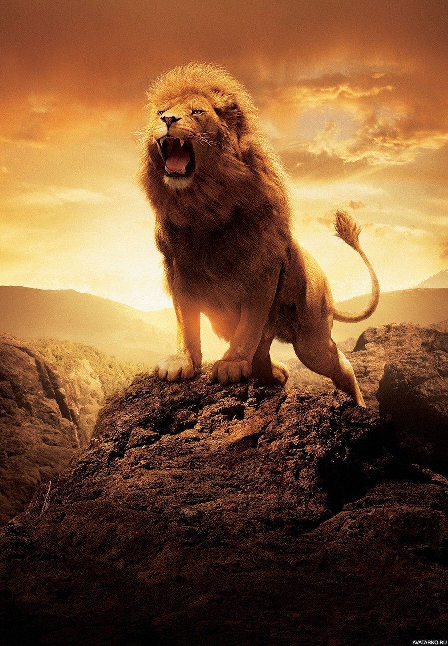 The Roar of Aslan - Rachel Dodge